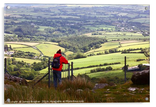 Country Views from Bodmin Moor Cornwall Acrylic by James Brunker