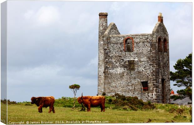 Highland Cattle and Tin Mine Bodmin Moor Cornwall Canvas Print by James Brunker