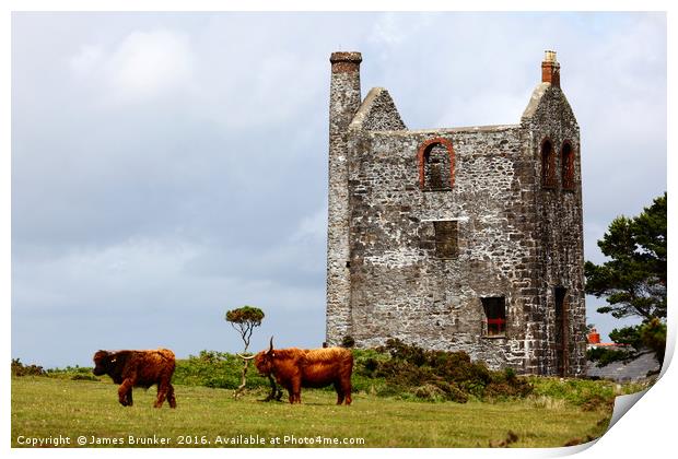 Highland Cattle and Tin Mine Bodmin Moor Cornwall Print by James Brunker