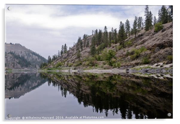Reflections on the Snake River in Idaho  Acrylic by Wilhelmina Hayward