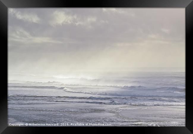 Sun Rays Illuminating the Oregon Coast Framed Print by Wilhelmina Hayward