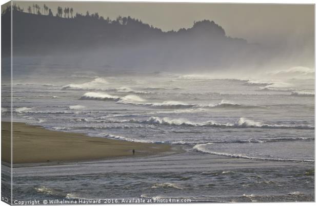 Stroll Along The Oregon Coast As The Tide Comes In Canvas Print by Wilhelmina Hayward