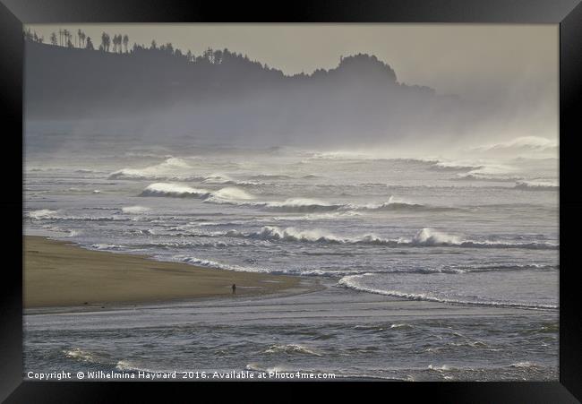 Stroll Along The Oregon Coast As The Tide Comes In Framed Print by Wilhelmina Hayward