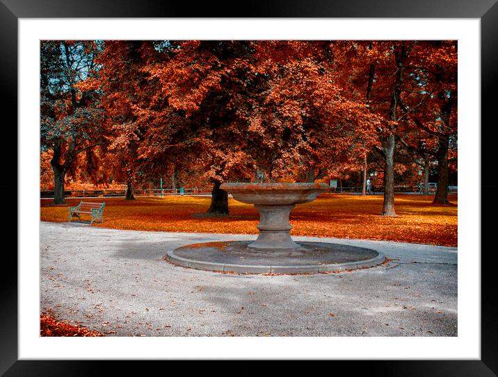 Autumn Park Framed Mounted Print by Jonathan Thirkell