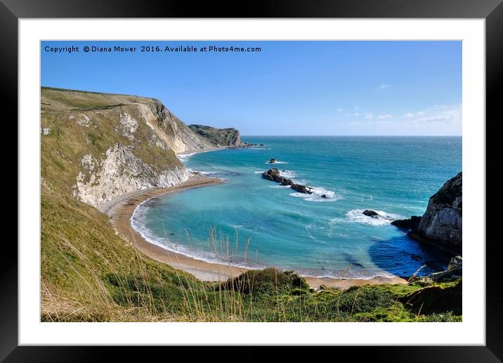 Man 'O War Bay, Dorset. Framed Mounted Print by Diana Mower