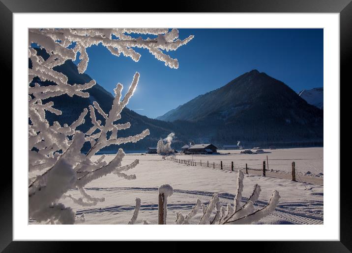 Winter morning Framed Mounted Print by Thomas Schaeffer