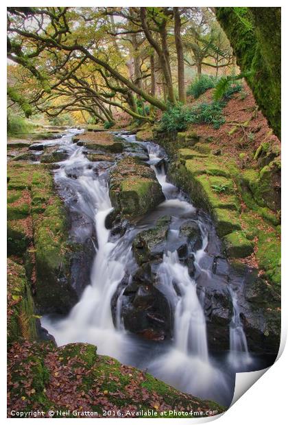 Waterfall at Shipley Bridge Print by Nymm Gratton