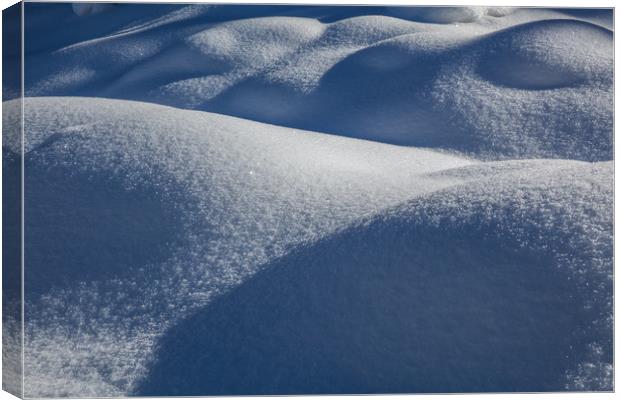 Snow formation Canvas Print by Thomas Schaeffer