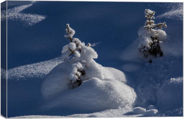 Snow formation Canvas Print by Thomas Schaeffer