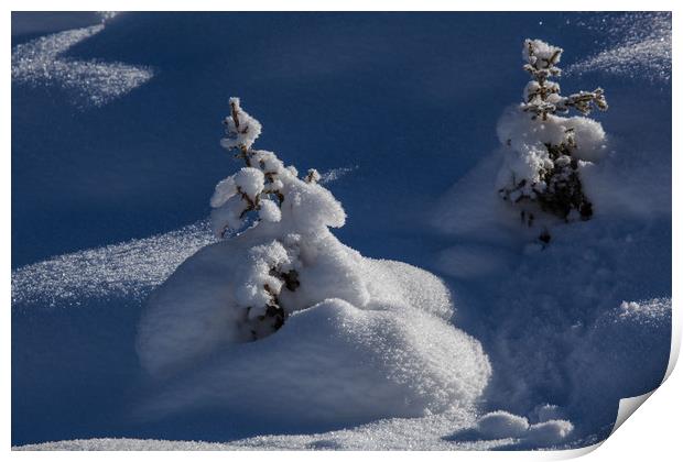Snow formation Print by Thomas Schaeffer