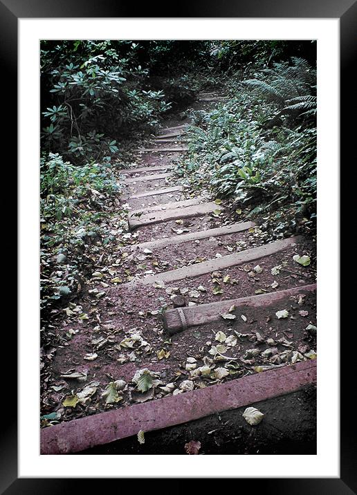 Up Down Steps, Cockington Country Park Torquay Framed Mounted Print by K. Appleseed.