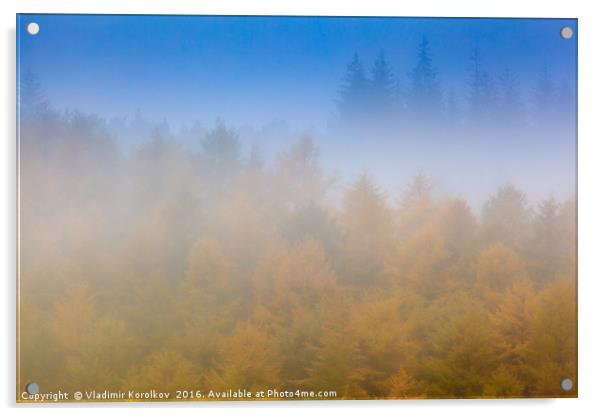 Misty morning near Bamford Acrylic by Vladimir Korolkov
