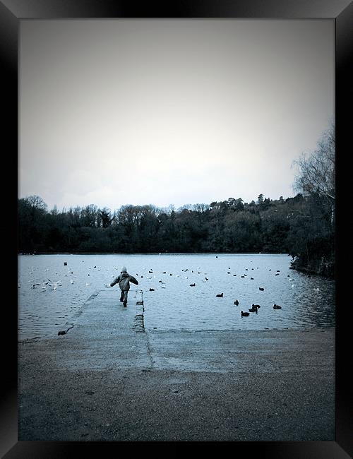 Take off,  Decoy Park Lake. Framed Print by K. Appleseed.