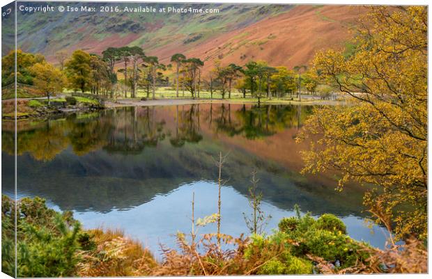 Autumn Colours In Buttermere, Lake District Canvas Print by The Tog