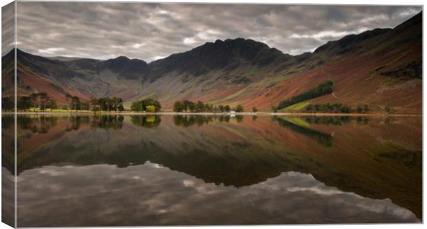 The Buttermere Pines Canvas Print by Paul Andrews
