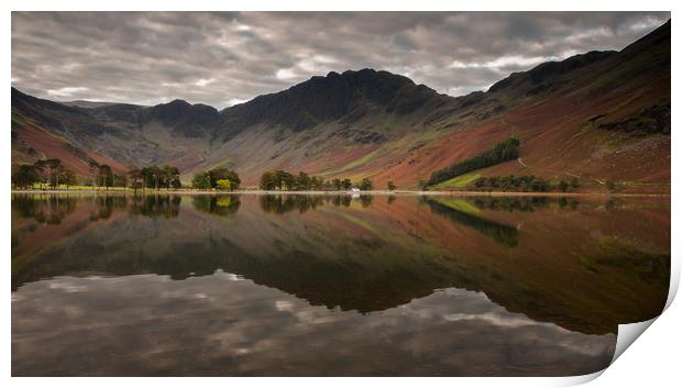 The Buttermere Pines Print by Paul Andrews