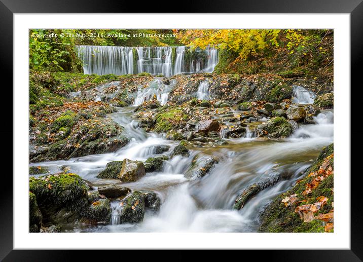 Stock Ghyll Force, Ambleside, Lake District Framed Mounted Print by The Tog