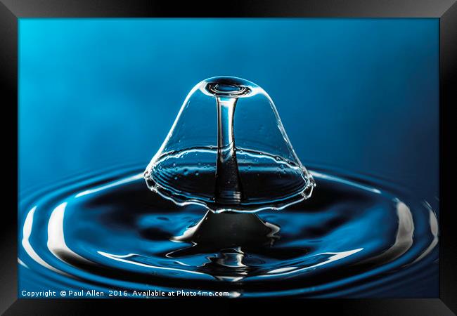 blue bell shaped water drop collision.  Framed Print by Paul Allen