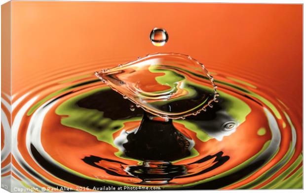 water drop Canvas Print by Paul Allen