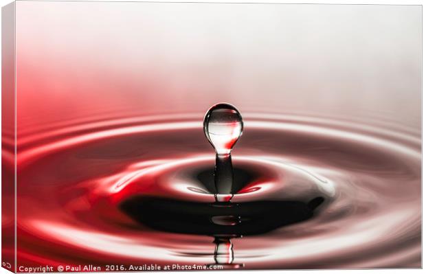 water drop Canvas Print by Paul Allen