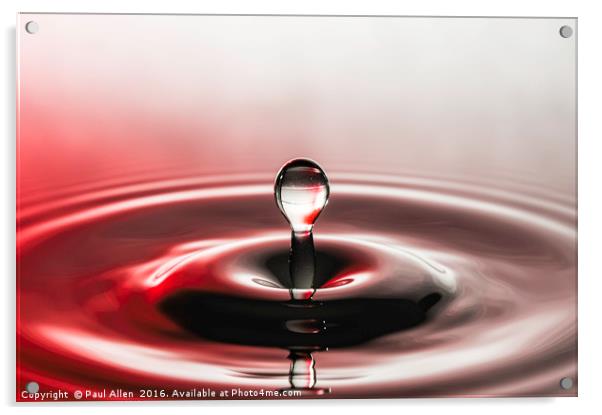 water drop Acrylic by Paul Allen