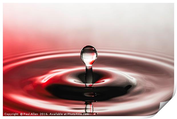 water drop Print by Paul Allen
