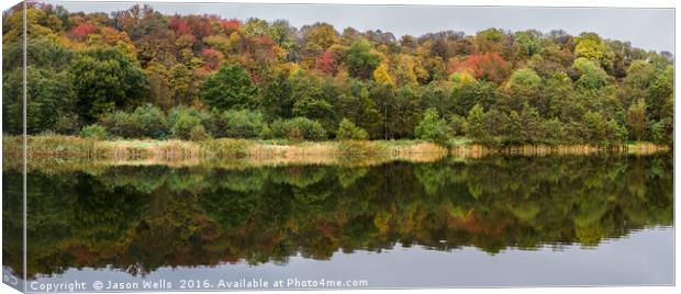 Changing colours at Brockholes woodland & wetland  Canvas Print by Jason Wells