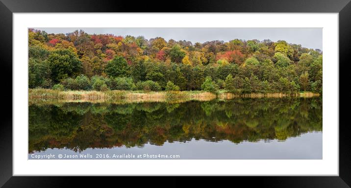 Changing colours at Brockholes woodland & wetland  Framed Mounted Print by Jason Wells