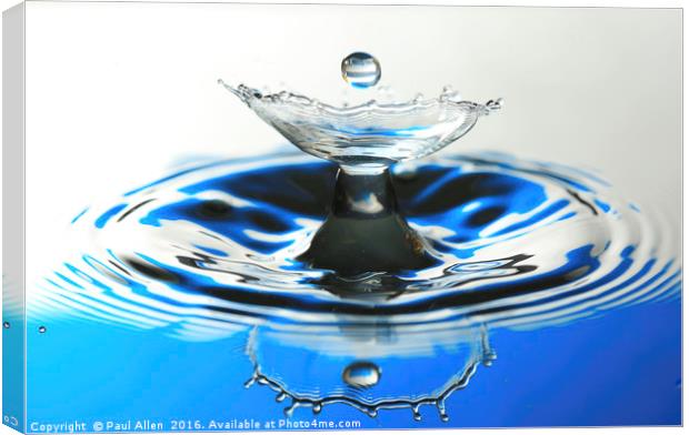 water drop and reflection Canvas Print by Paul Allen