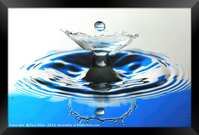 water drop and reflection Framed Print by Paul Allen