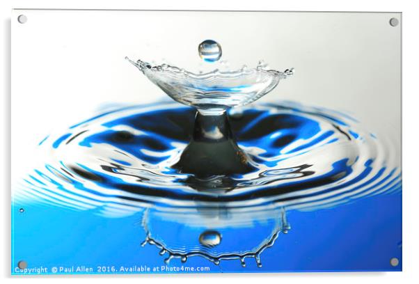 water drop and reflection Acrylic by Paul Allen