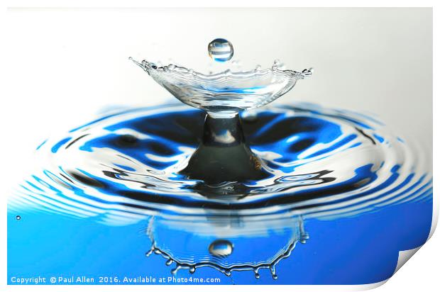 water drop and reflection Print by Paul Allen