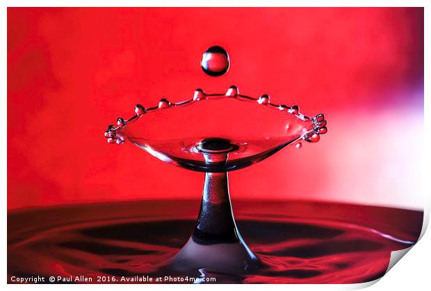 water drop Print by Paul Allen