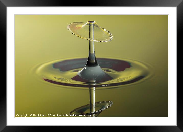 water drop and reflection Framed Mounted Print by Paul Allen