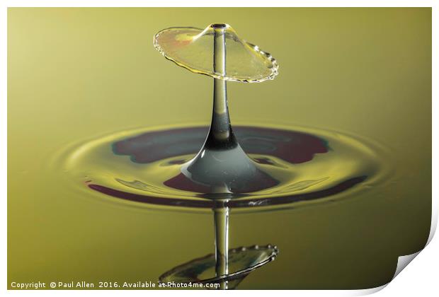 water drop and reflection Print by Paul Allen