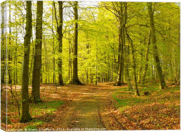Forest in Spring Canvas Print by Gisela Scheffbuch