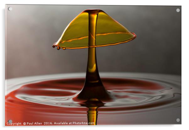 golden water drop Acrylic by Paul Allen