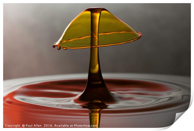 golden water drop Print by Paul Allen