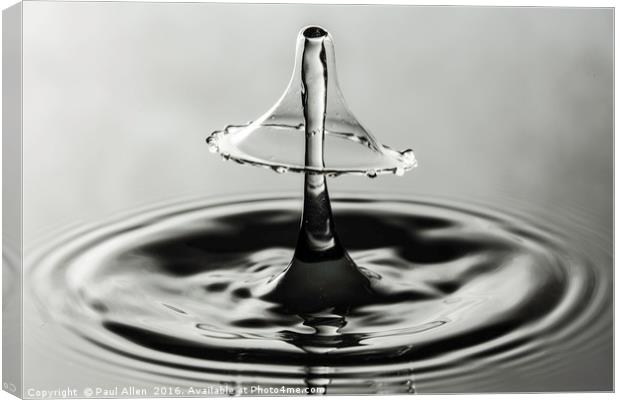 monochrome water drop collision Canvas Print by Paul Allen