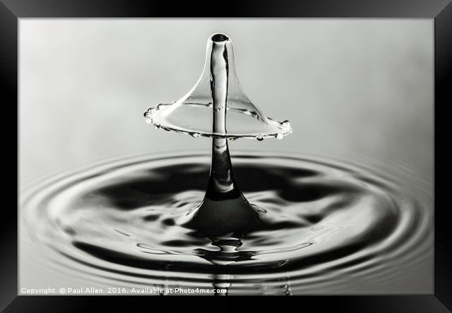 monochrome water drop collision Framed Print by Paul Allen