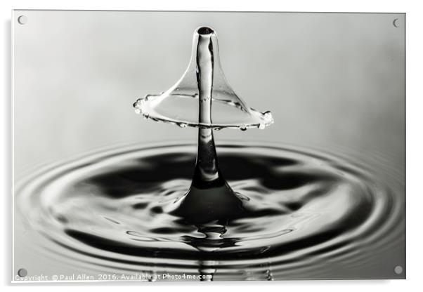 monochrome water drop collision Acrylic by Paul Allen