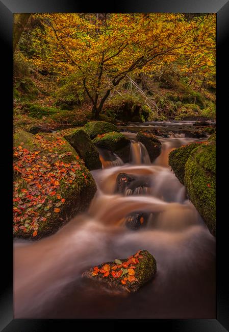Autumn in Wyming Brook  Framed Print by Paul Andrews