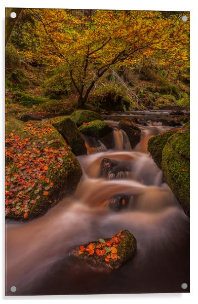 Autumn in Wyming Brook  Acrylic by Paul Andrews