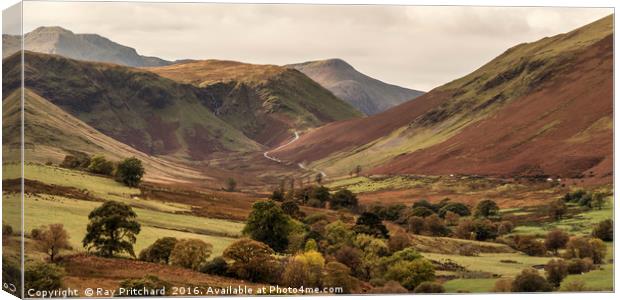 Newlands Pass Canvas Print by Ray Pritchard