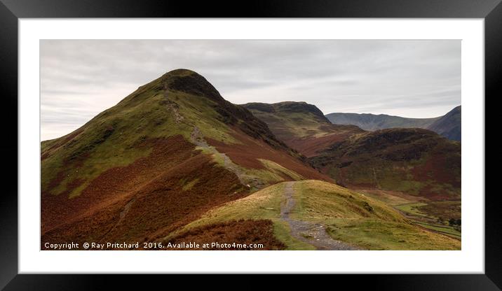 Catbells Framed Mounted Print by Ray Pritchard