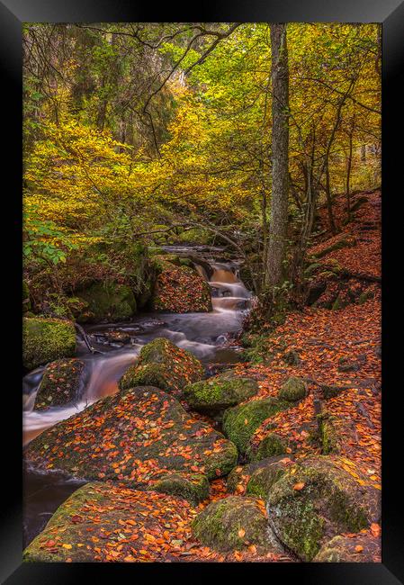 Autumn in Wyming Brook 2 Framed Print by Paul Andrews