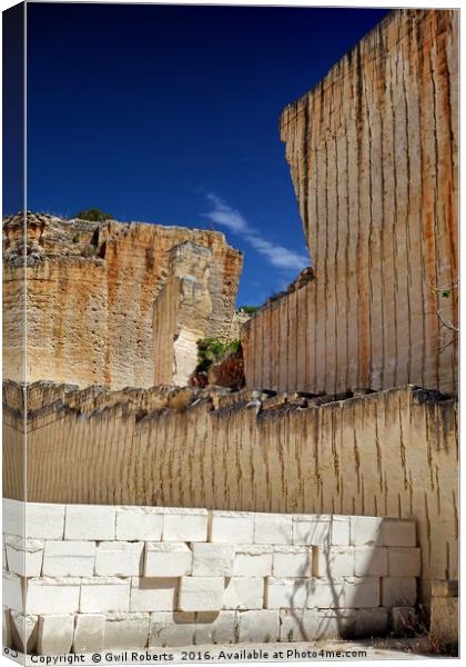Old limestone quarry Canvas Print by Gwil Roberts