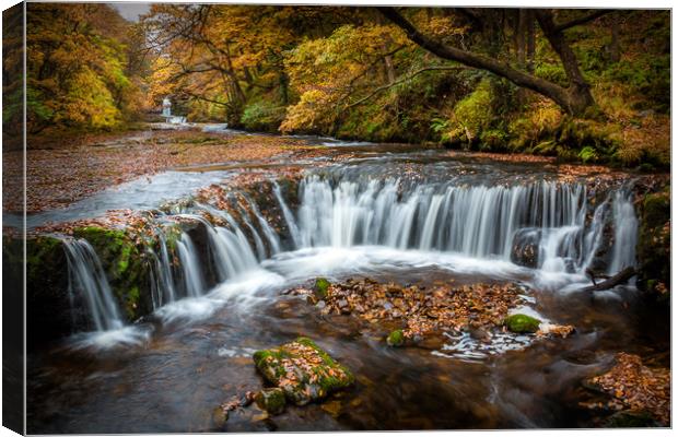 Pontneddfechan Waterfalls Canvas Print by Purple OneTwoEight