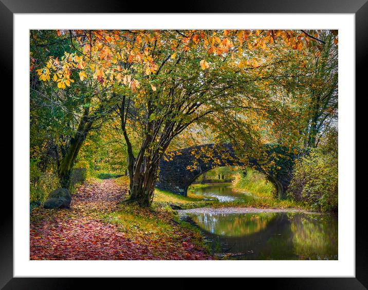 Neath Canal Framed Mounted Print by Purple OneTwoEight
