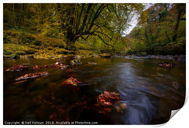 Autumn on Nedd Fechan River, Pontneddfechan Print by Neil Holman